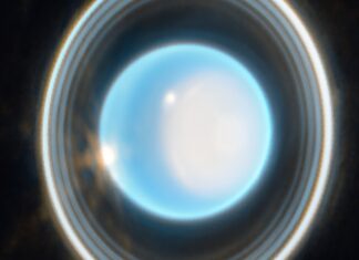 Телескоп Вебба щойно подивився на Уран і буквально засвітився на Місяці