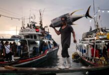 Яскраві кадри демонструють темну сторону рибної промисловості Південно-Східної Азії