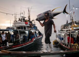 Яскраві кадри демонструють темну сторону рибної промисловості Південно-Східної Азії