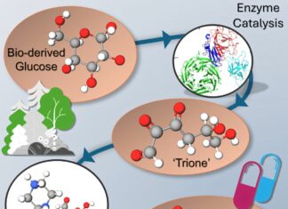 Від відходів деревини до ключових фармацевтичних інгредієнтів: екологічний метод може зменшити високі витрати на ліки