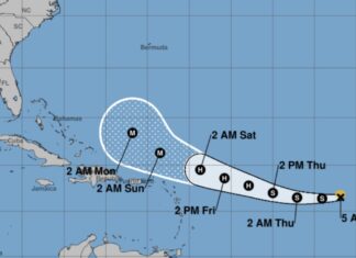Тропічний шторм “Ерін”: макети-спагетті відстежують траєкторію шторму