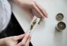 Хімічні речовини, що містяться в марихуані, можуть впливати на жіночу фертильність