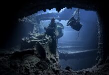 Життя знаходить шлях: процвітаючі екосистеми, знайдені на боєголовках Другої світової війни