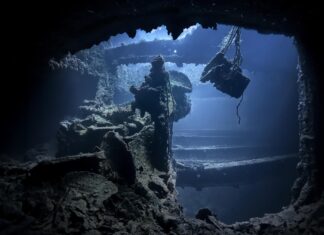 Життя знаходить шлях: процвітаючі екосистеми, знайдені на боєголовках Другої світової війни