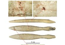 Найдавніший відомий об’єкт бегемота із слонової кістки, знайдений на веб -сайті мідної епохи Іберійського півострова
