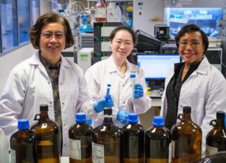 Вчені розвивають безпечніші, більш стійкі антимікробні препарати, щоб запобігти інфекціям коров’ячих вименів