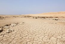 Вчені показують, що Червоне море повністю зникло 6,2 мільйона років тому