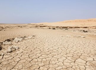 Вчені показують, що Червоне море повністю зникло 6,2 мільйона років тому