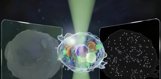 Уніфікований мікроскоп об’єднує мікро- та нано-зір