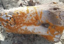 Путівники з лишайників до палеонтології: дрони тепер полюють на кістки динозаврів за кольором