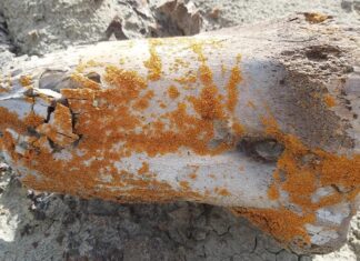 Путівники з лишайників до палеонтології: дрони тепер полюють на кістки динозаврів за кольором