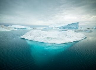 Танення льоду, зростання ризиків: як зміни в полярних регіонах загрожують глобальному здоров’ю