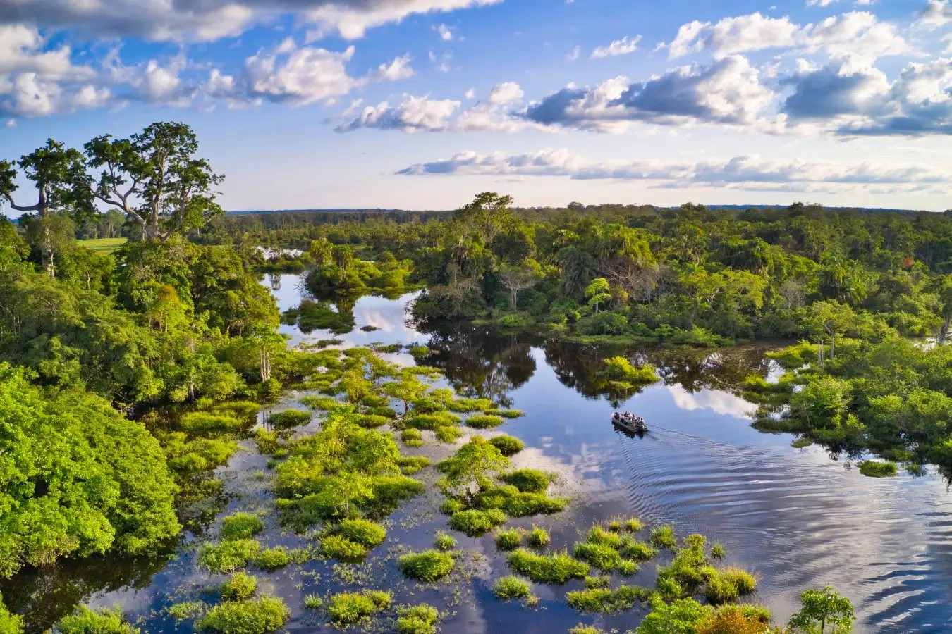 4459f130-21c8-4de0-b808-852383c3cf9a