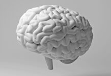 Хронічний гінгівіт може пошкодити білу речовину мозку: що це означає для вас