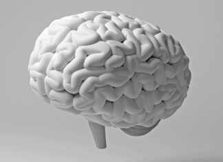 Хронічний гінгівіт може пошкодити білу речовину мозку: що це означає для вас