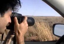 Несподівана глибина конкурентного спостереження за птахами: огляд документального фільму Listers