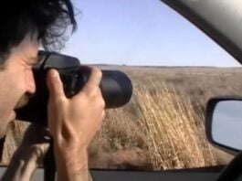 Несподівана глибина конкурентного спостереження за птахами: огляд документального фільму Listers