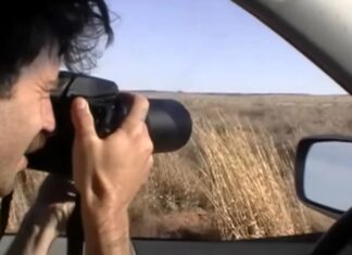 Несподівана глибина конкурентного спостереження за птахами: огляд документального фільму Listers