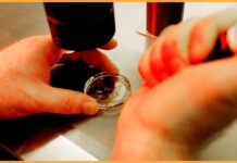 Ціна прогресу: як заборона на дослідження з використанням фетальної тканини загрожує медичним проривам