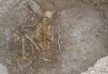 2000-letni celtycki nastolatek może zostać złożony w ofierze i uznany za „jednorazowego użytku”