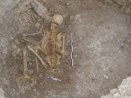 2000-річного кельтського підлітка можуть принести в жертву та вважати його «одноразовим»