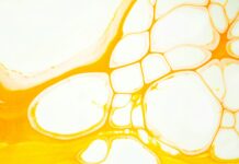 Стабилизация синтетических генетических схем с помощью клеточных компартментов