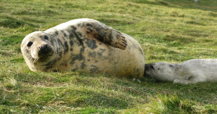 c0d72433-e9d5-4aac-9ce7-af145e0ff9e6