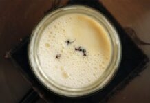 Мурахи: дивовижний інгредієнт у вашій наступній закусці з йогуртом