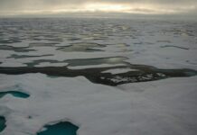 Розкрита історія арктичного льоду: космічний пил показує зміни морського льоду за 30 000 років