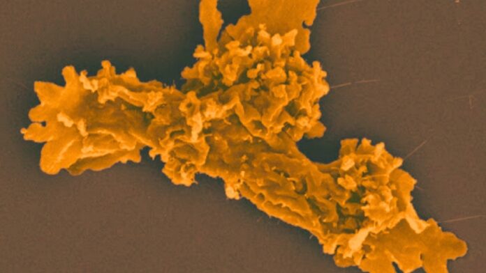 66b3655c-d448-4217-a39d-219133f3cd4e