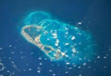 Несподівана стабільність Бермудських островів: прихована геологічна структура зберігає острови