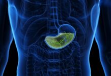 Чому ваш шлунок не перетравлює сам себе