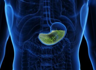 Чому ваш шлунок не перетравлює сам себе