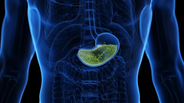 36c091c1-b000-4bc4-b4ce-fb7f8ea8cd04