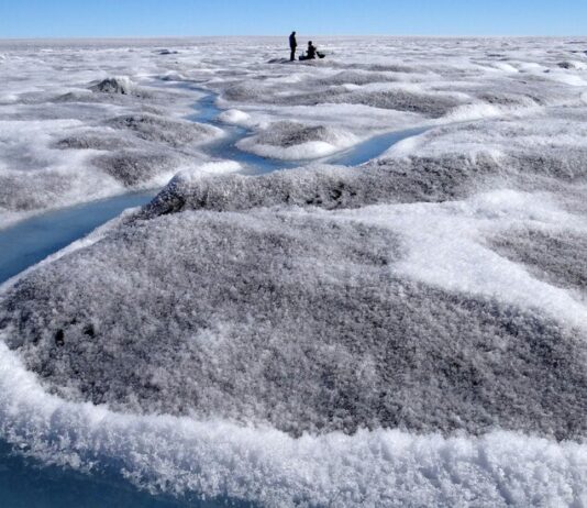Водорості, що прискорюють танення льоду Гренландії: новий кліматичний зворотний зв’язок