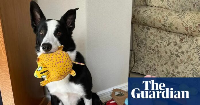 516d85cf-f5e2-47ee-ab77-222ce0abdd05