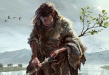 430 000-річних інструментів: найдавніші дерев’яні ручні інструменти, знайдені в Греції