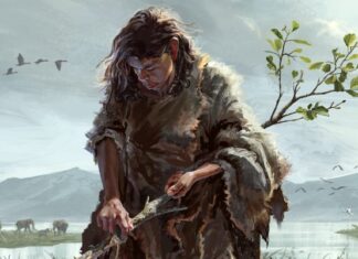 430 000-річних інструментів: найдавніші дерев’яні ручні інструменти, знайдені в Греції