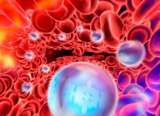 Нанотерапія демонструє багатообіцяючі результати щодо зменшення болю та смертності від раку кісток