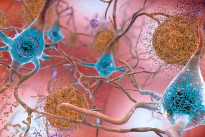 e1a68ae5-c9cd-44b9-be20-b5fa098cf3ac