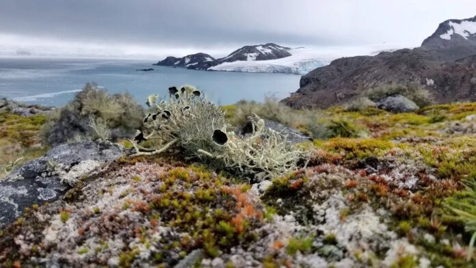 6ed97e7a-efbf-4d8f-a7c1-55548e017860