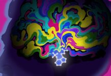 Психоделіки багатообіцяюче переналаштовують мозок для лікування ПТСР