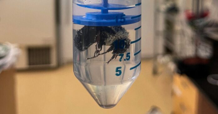 3d21a594-f01d-4e13-b25a-31d4c28675f3