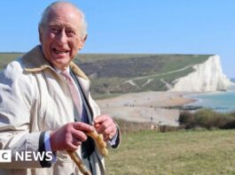 Король Чарльз Відкрив Найдовший Прибережний Маршрут у Світі: 2689-мильна стежка Англії
