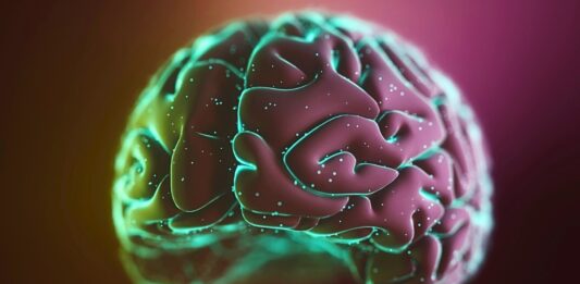 Вправи Безпосередньо Стимулюють Мозкову Активність, Пов’язану з Пам’яттю, Підтверджує Нове Дослідження