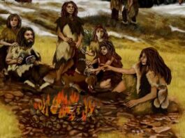 Неолітичні європейці насолоджувалися дивовижно вишуканою кухнею