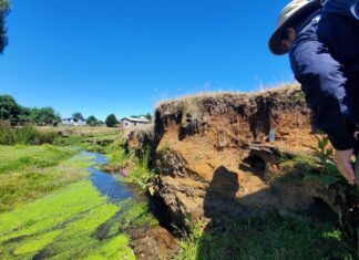 Нові дослідження Ставлять під питання Хронологію Заселення Південної Америки