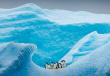 Останній Льодовиковий Період Антарктиди: Зсув в 34 Мільйона Літ