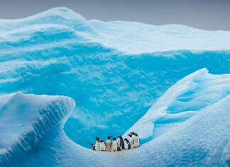 Останній Льодовиковий Період Антарктиди: Зсув в 34 Мільйона Літ