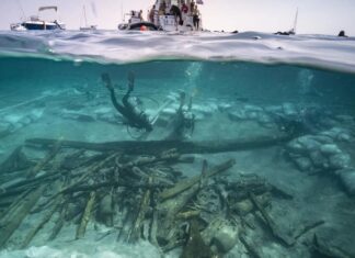 Секрет римського довголіття: як древні кораблебудівники кидали виклик морю